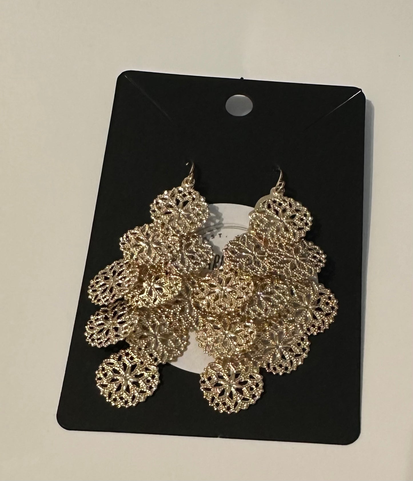 Sand Dollar Disc